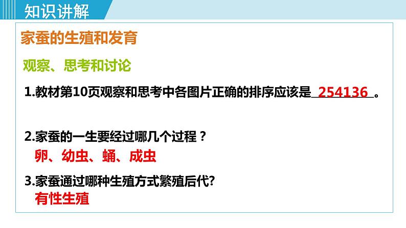 人教版八年级生物下册 7.1.2昆虫的生殖和发育 课件07