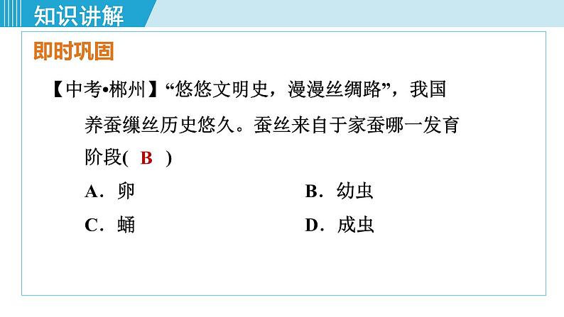 人教版八年级生物下册 7.1.2昆虫的生殖和发育 课件08