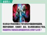 人教版八年级生物下册 7.2.1基因控制生物的性状 课件