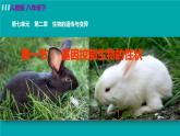 人教版八年级生物下册 7.2.1基因控制生物的性状 课件