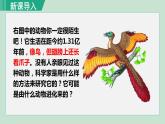人教版八年级生物下册 7.3.2生物进化的历程 课件