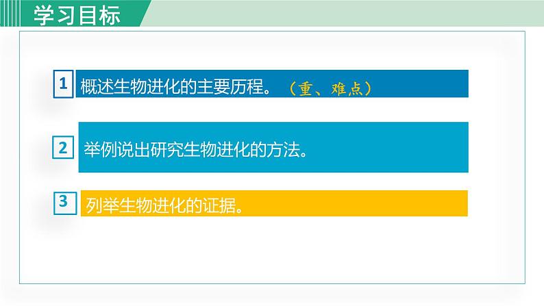 人教版八年级生物下册 7.3.2生物进化的历程 课件03