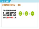 人教版八年级生物下册 7.3.2生物进化的历程 课件