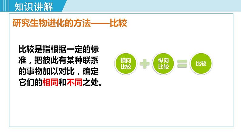 人教版八年级生物下册 7.3.2生物进化的历程 课件04