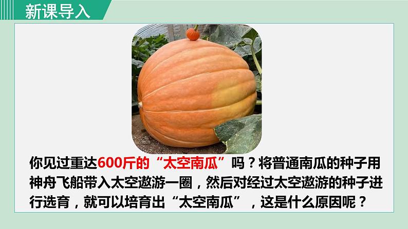 人教版八年级生物下册 7.2.5生物的变异 课件01
