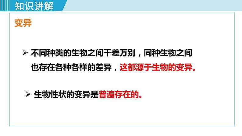 人教版八年级生物下册 7.2.5生物的变异 课件07
