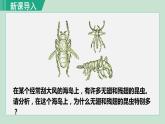 人教版八年级生物下册 7.3.3生物进化的原因 课件