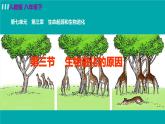 人教版八年级生物下册 7.3.3生物进化的原因 课件