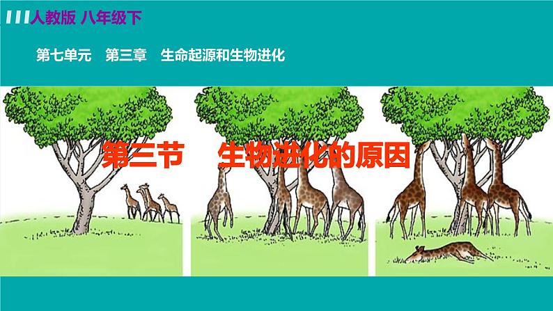 人教版八年级生物下册 7.3.3生物进化的原因 课件02