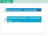 人教版八年级生物下册 7.3.3生物进化的原因 课件