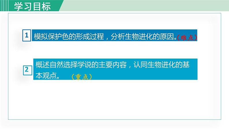 人教版八年级生物下册 7.3.3生物进化的原因 课件03