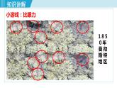 人教版八年级生物下册 7.3.3生物进化的原因 课件