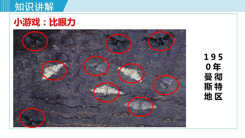 人教版八年级生物下册 7.3.3生物进化的原因 课件06