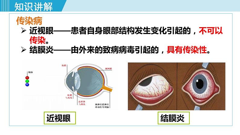 1第一节  传染病及其预防第5页