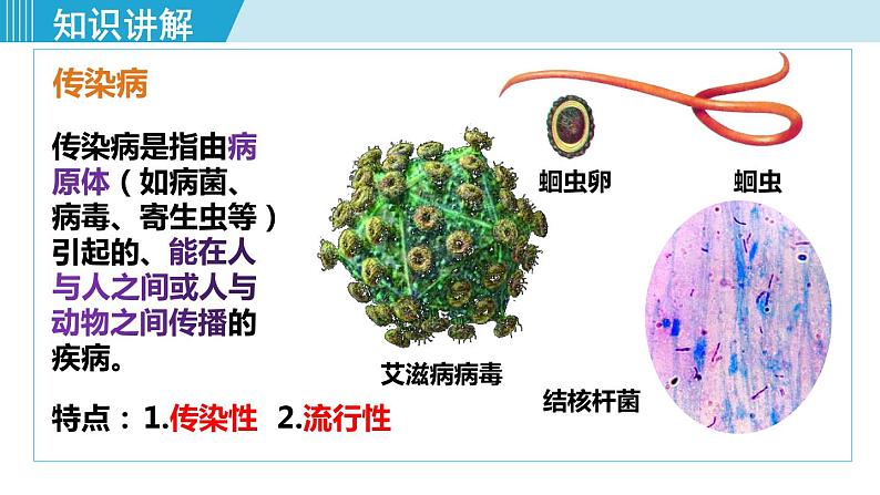 1第一节  传染病及其预防第6页