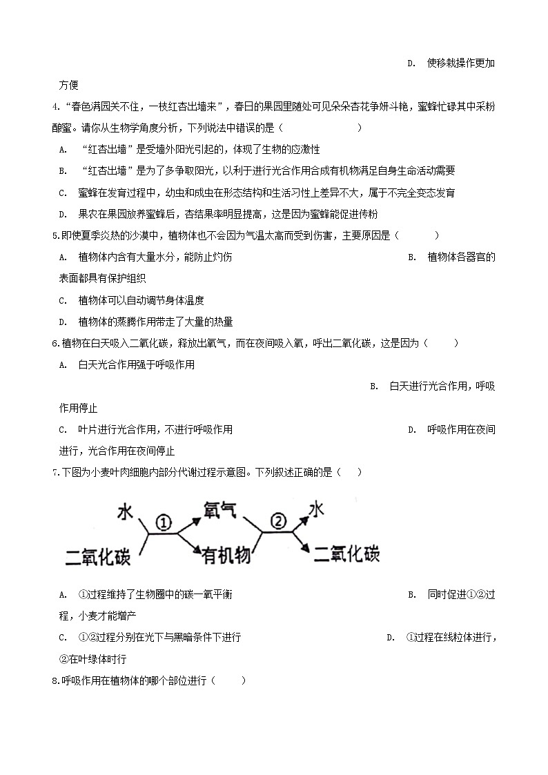 中考生物一轮复习绿色植物的生活专项训练第2页