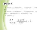 七年级生物下册第四单元生物圈中的人第一章人的由来第二节人的生殖作业课件新人教版