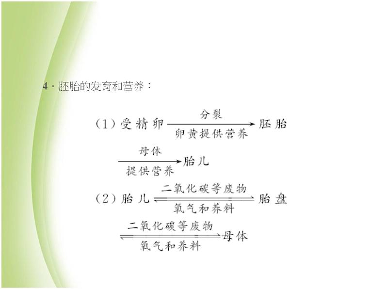 七年级生物下册第四单元生物圈中的人第一章人的由来第二节人的生殖作业课件新人教版04