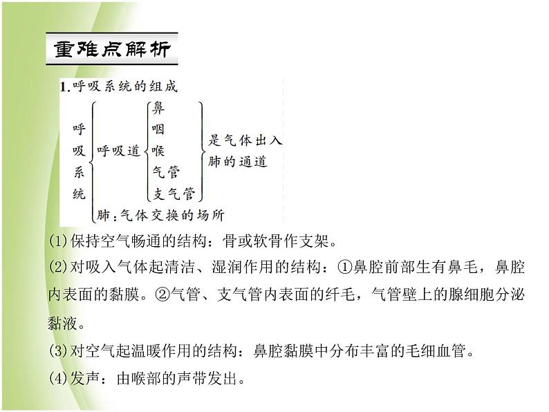 七年级生物下册第四单元生物圈中的人第三章人体的呼吸第一节呼吸道对空气的处理作业课件新人教版03