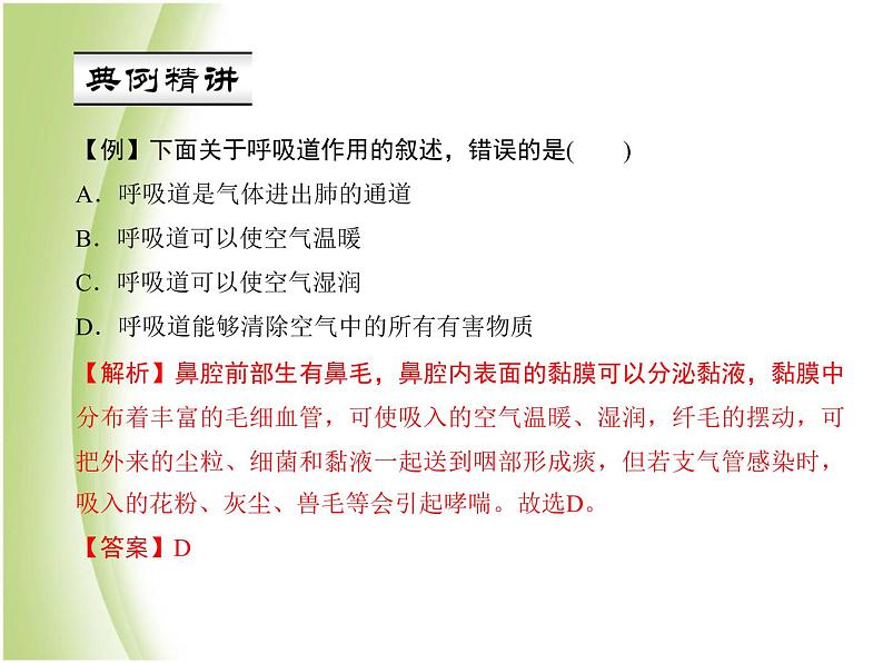 七年级生物下册第四单元生物圈中的人第三章人体的呼吸第一节呼吸道对空气的处理作业课件新人教版05