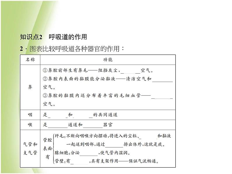 七年级生物下册第四单元生物圈中的人第三章人体的呼吸第一节呼吸道对空气的处理作业课件新人教版08