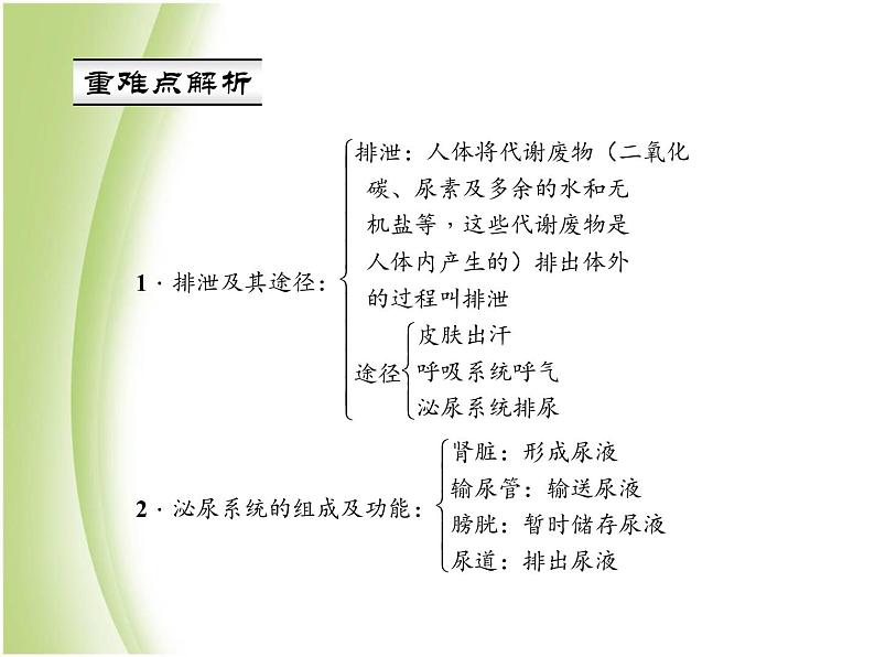 七年级生物下册第四单元生物圈中的人第五章人体内废物的排出作业课件新人教版02