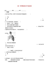 2020-2021学年第一节 呼吸道对空气的处理练习