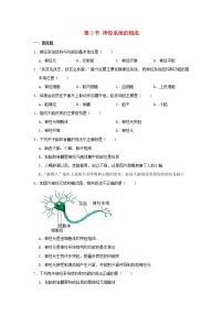 人教版 (新课标)七年级下册第四单元 生物圈中的人第六章 人体生命活动的调节第二节 神经系统的组成课堂检测