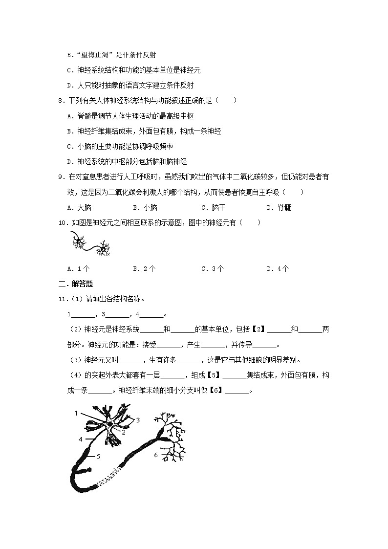 七年级生物下册4.6.2神经系统的组成试卷新人教版02