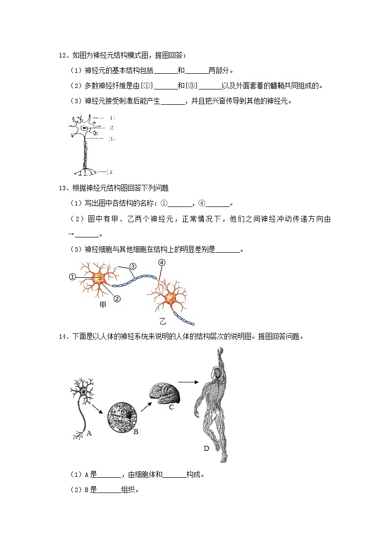 七年级生物下册4.6.2神经系统的组成试卷新人教版03
