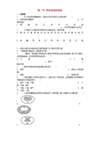 生物七年级下册第二节 神经系统的组成课时练习