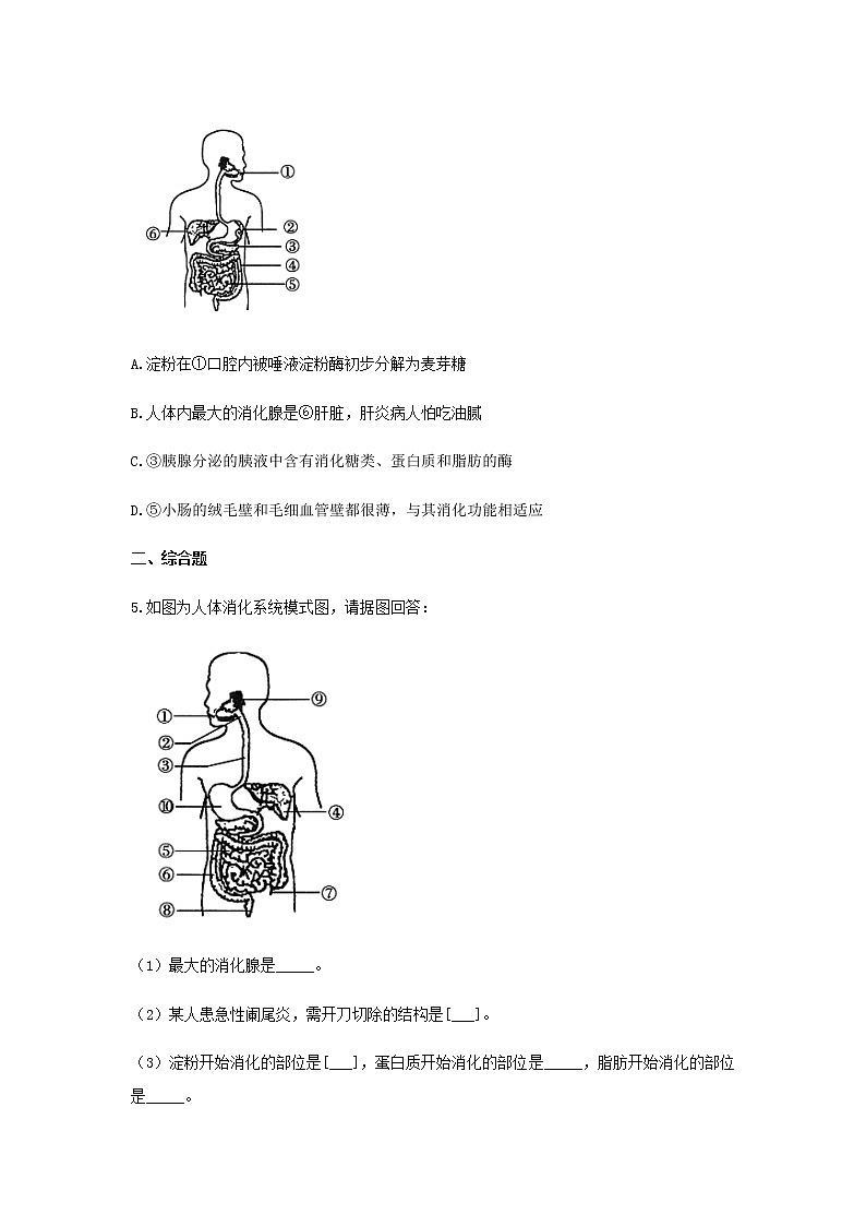 七年级生物下册4.2.2消化和吸收练习新人教版02