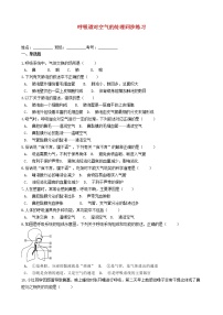 初中生物人教版 (新课标)七年级下册第一节 呼吸道对空气的处理课后作业题