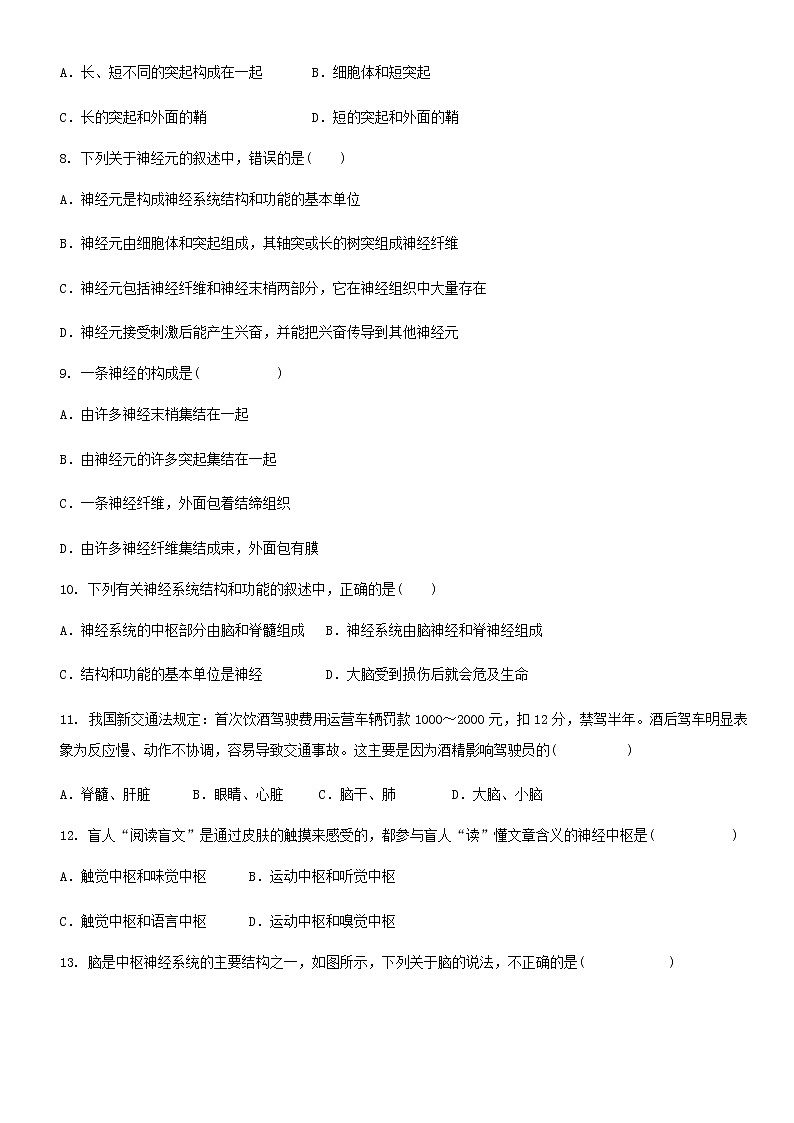 七年级生物下册4.6.2神经系统的组成练习题新人教版02