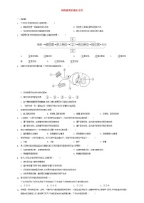 人教版 (新课标)七年级下册第三节 神经调节的基本方式精练