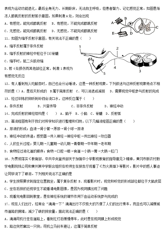 七年级生物下册4.6.3神经调节的基本方式练习题新人教版第2页