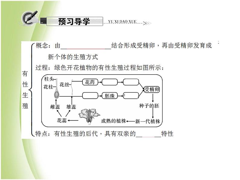 八年级生物下册第七单元生物圈中生命的延续和发展第一章生物的生殖和发育第一节植物的生殖作业课件新人教版04