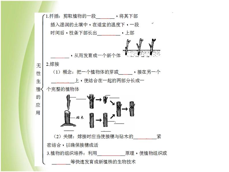 八年级生物下册第七单元生物圈中生命的延续和发展第一章生物的生殖和发育第一节植物的生殖作业课件新人教版06