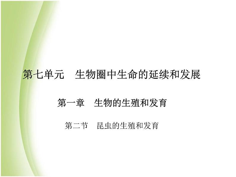 八年级生物下册第七单元生物圈中生命的延续和发展第一章生物的生殖和发育第二节昆虫的生殖和发育作业课件新人教版第1页