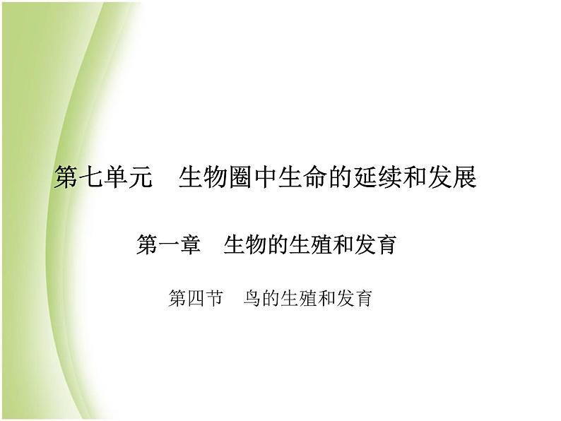 八年级生物下册第七单元生物圈中生命的延续和发展第一章生物的生殖和发育第四节鸟的生殖和发育作业课件新人教版01