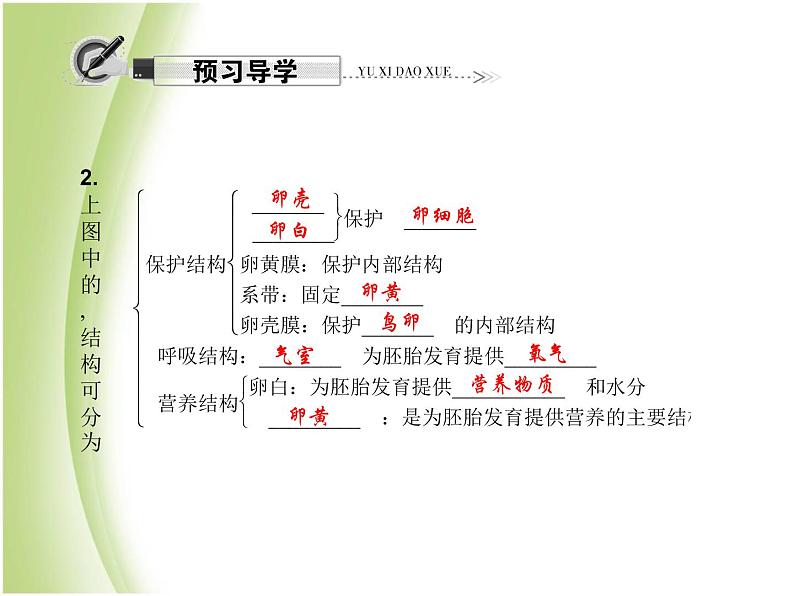 八年级生物下册第七单元生物圈中生命的延续和发展第一章生物的生殖和发育第四节鸟的生殖和发育作业课件新人教版05