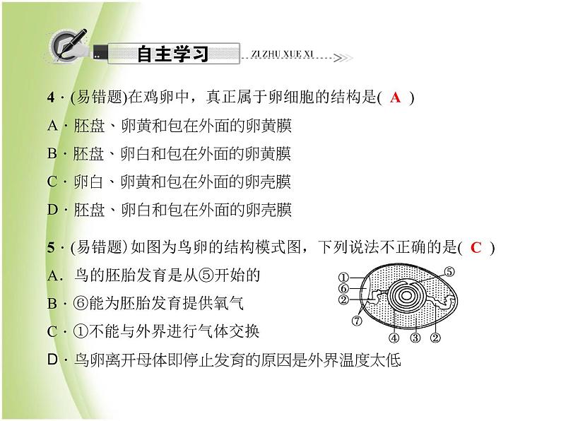 八年级生物下册第七单元生物圈中生命的延续和发展第一章生物的生殖和发育第四节鸟的生殖和发育作业课件新人教版08