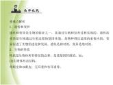 八年级生物下册第七单元生物圈中生命的延续和发展第二章生物的遗传与变异第一节基因控制生物的性状作业课件新人教版