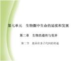八年级生物下册第七单元生物圈中生命的延续和发展第二章生物的遗传与变异第二节基因在亲子代间的传递作业课件新人教版