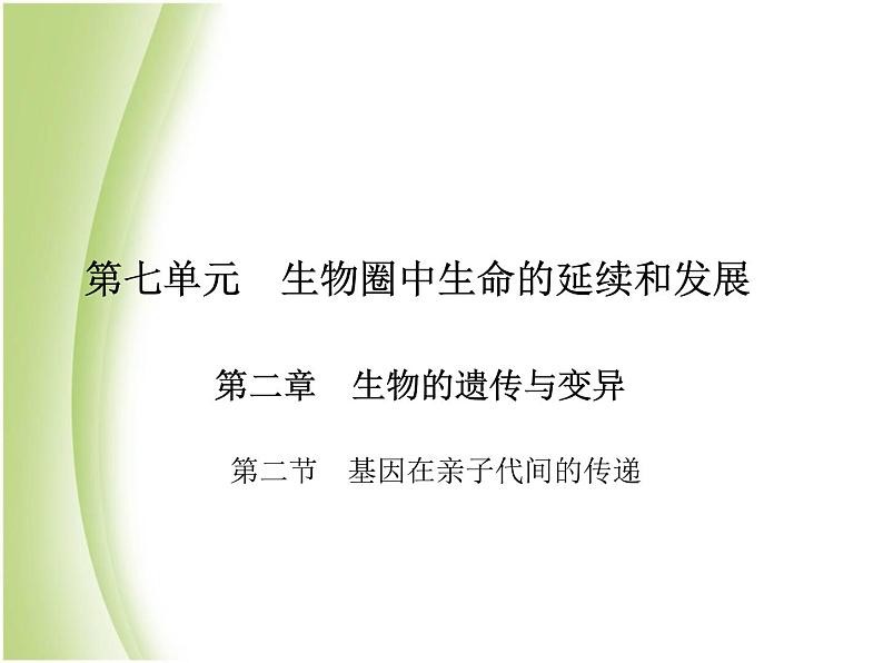 八年级生物下册第七单元生物圈中生命的延续和发展第二章生物的遗传与变异第二节基因在亲子代间的传递作业课件新人教版第1页