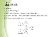 八年级生物下册第七单元生物圈中生命的延续和发展第二章生物的遗传与变异第二节基因在亲子代间的传递作业课件新人教版