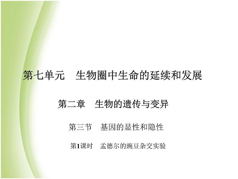 八年级生物下册第七单元生物圈中生命的延续和发展第二章生物的遗传与变异第三节基因的显性和隐性第1课时孟德尔的豌豆杂交实验作业课件新人教版01