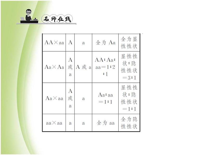 八年级生物下册第七单元生物圈中生命的延续和发展第二章生物的遗传与变异第三节基因的显性和隐性第1课时孟德尔的豌豆杂交实验作业课件新人教版04