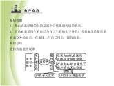 八年级生物下册第七单元生物圈中生命的延续和发展第二章生物的遗传与变异第三节基因的显性和隐性第2课时禁止近亲结婚作业课件新人教版