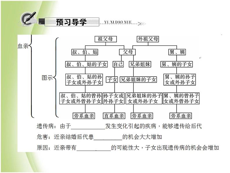 八年级生物下册第七单元生物圈中生命的延续和发展第二章生物的遗传与变异第三节基因的显性和隐性第2课时禁止近亲结婚作业课件新人教版05